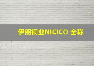 伊朗铜业NICICO 全称